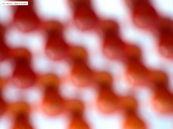 Bild Alttagl News 22.06.2017 Deutsch